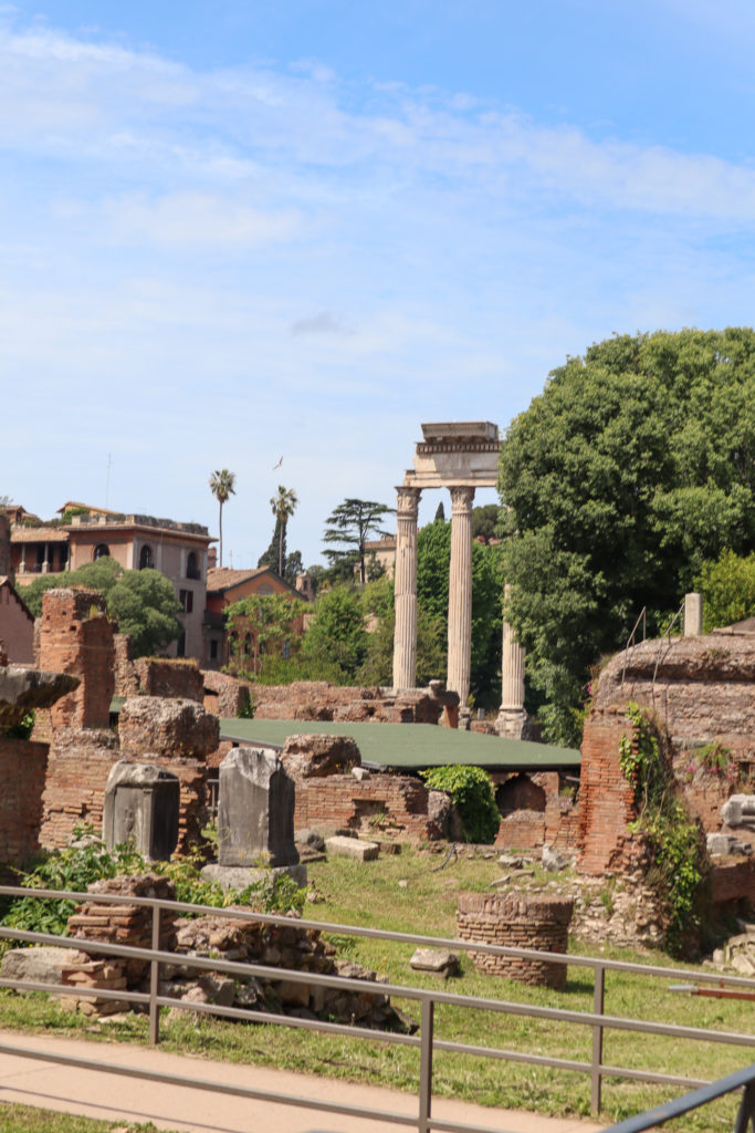 Roman Forum & Palatine Hill