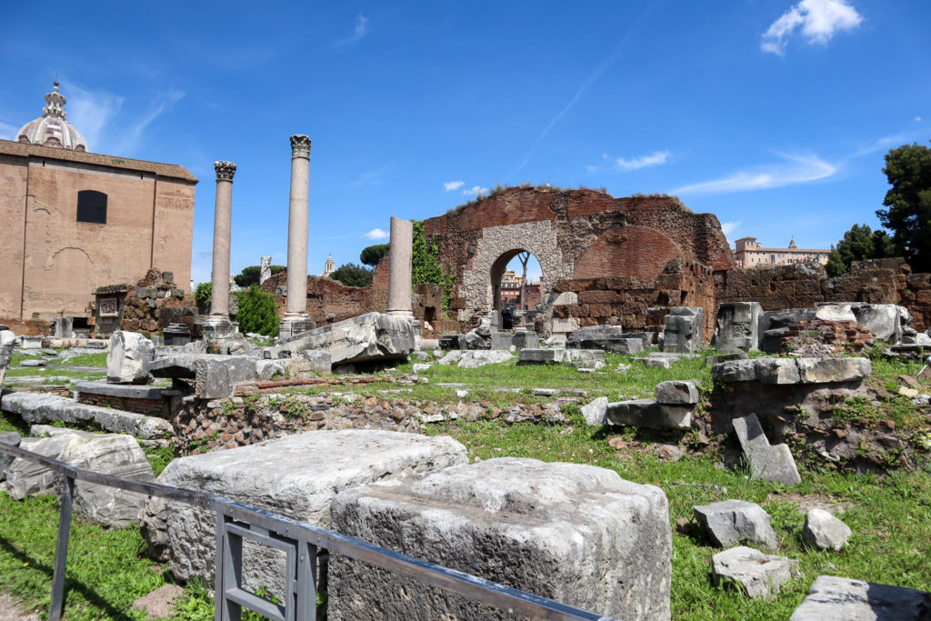 Roman Forum & Palatine Hill